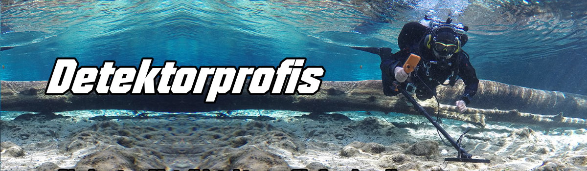 Detektorprofis